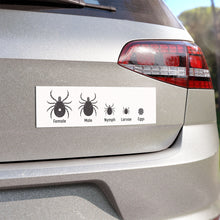 Load image into Gallery viewer, Tick Life Cycle Car Bumper Sticker Magnet
