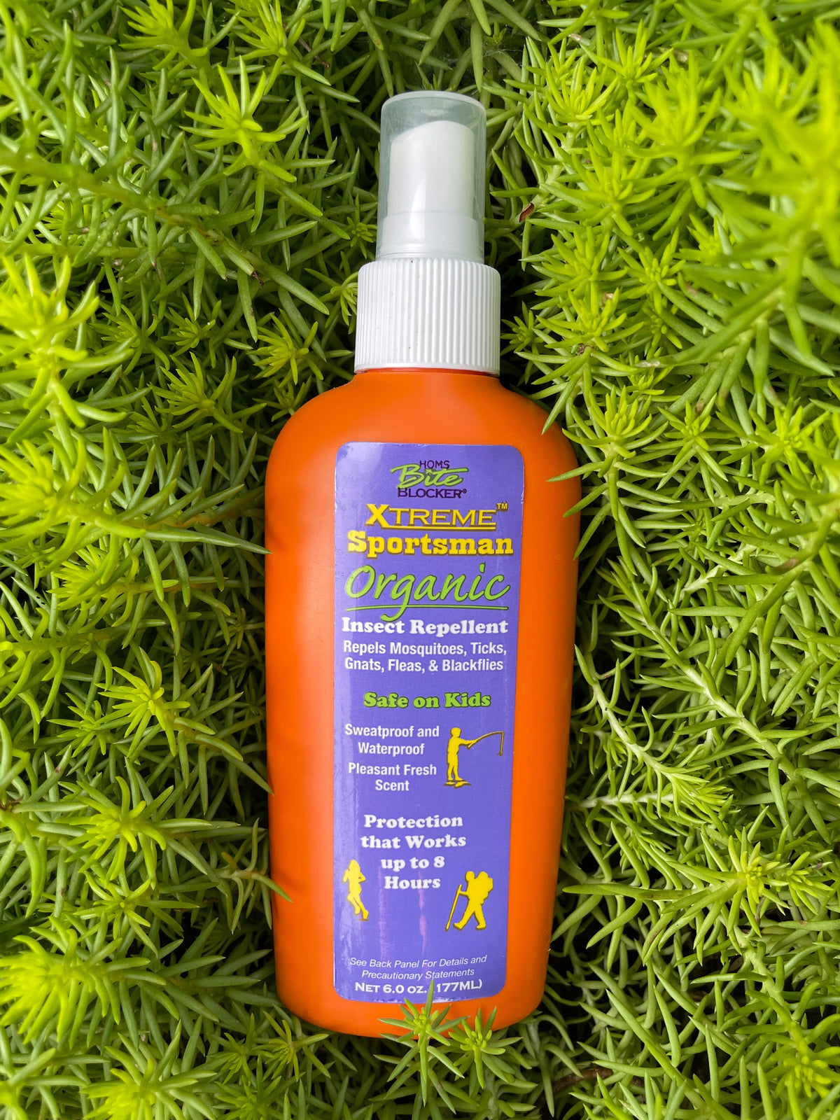 An orange bottle of xtreme Sportman biteblocker Organic Insect Repellent with a purple label and white spray top, nestled in bright green needle-like foliage.